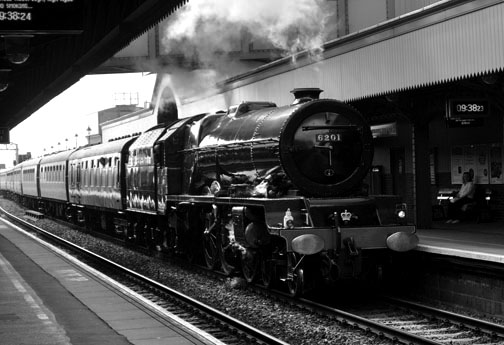 46201 Princess
          Elizabeth