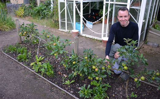 School Garden