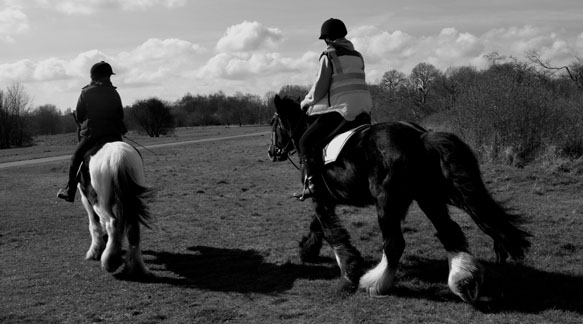 Horse Riding