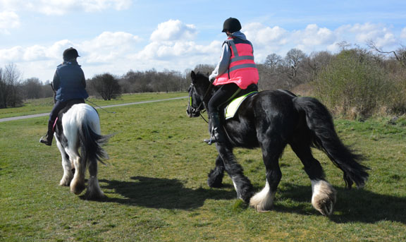 Horse Riding