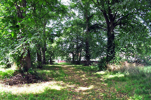 Pathway to St Giles Church