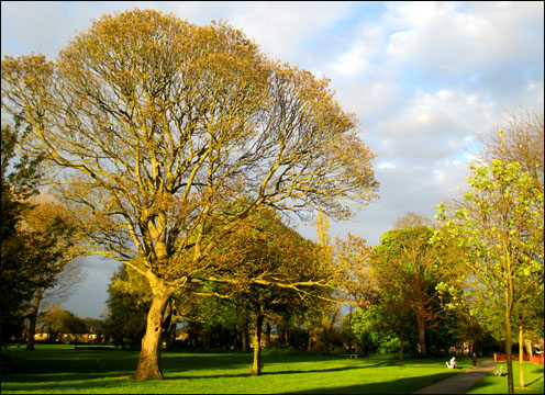 Yardley Old Park in Spring